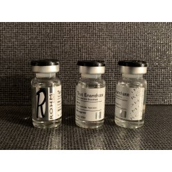 Rohm Labs - Test Enanthate